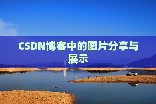 CSDN博客中的图片分享与展示